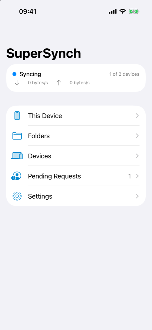 Main screen with status summary and sections